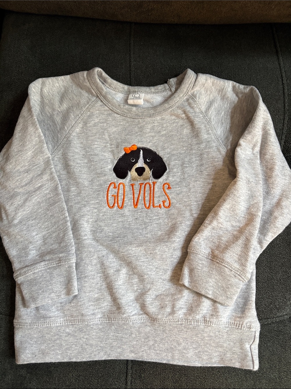 Grey Kids Sweatshirt with Embroidered Dog and "GO VOLS"